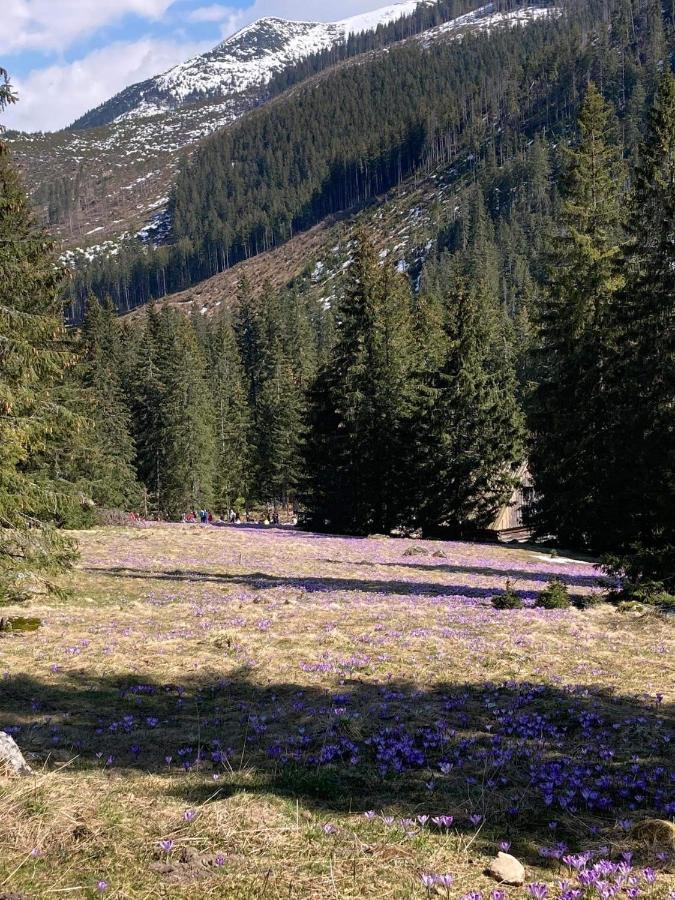 Nauczycielskie Centrum Zakopane Exteriér fotografie